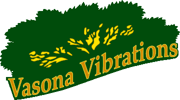 Vasona Vibrations 2015